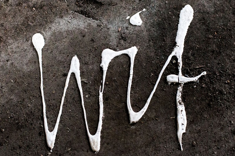 © Cat'chy Images 2014