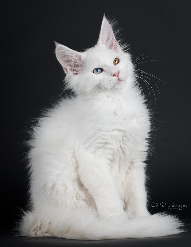 © Cat'chy Images 2014