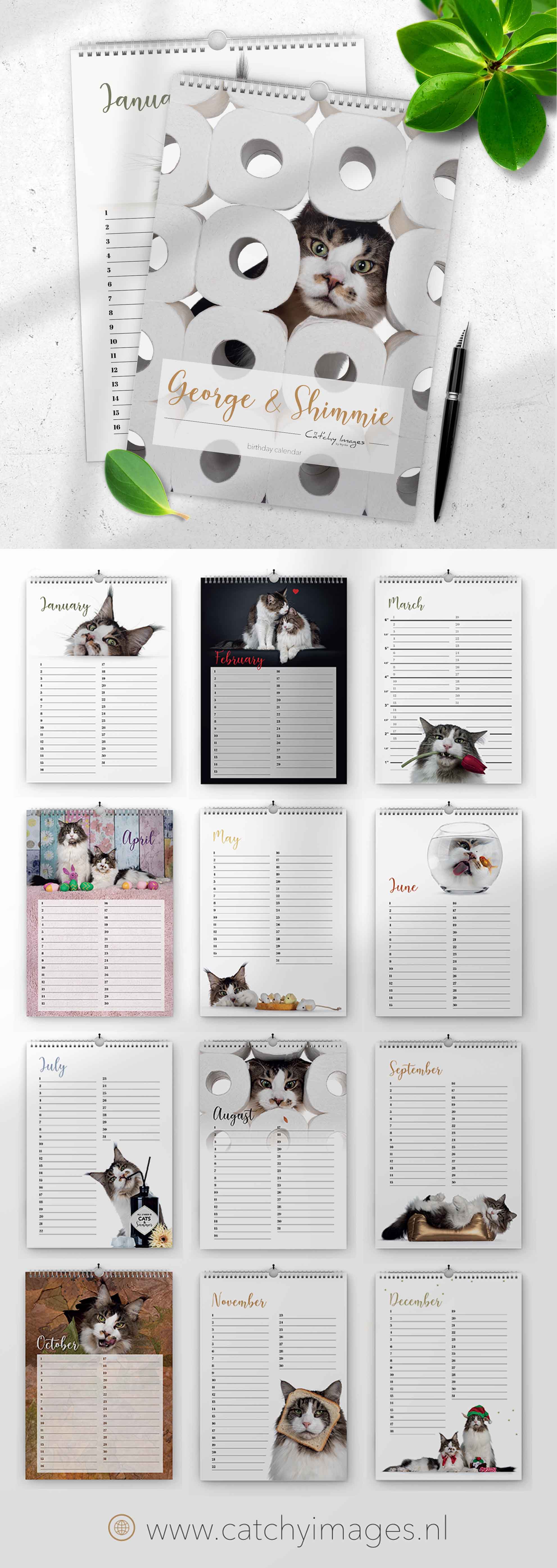 calendar, goodies, cats