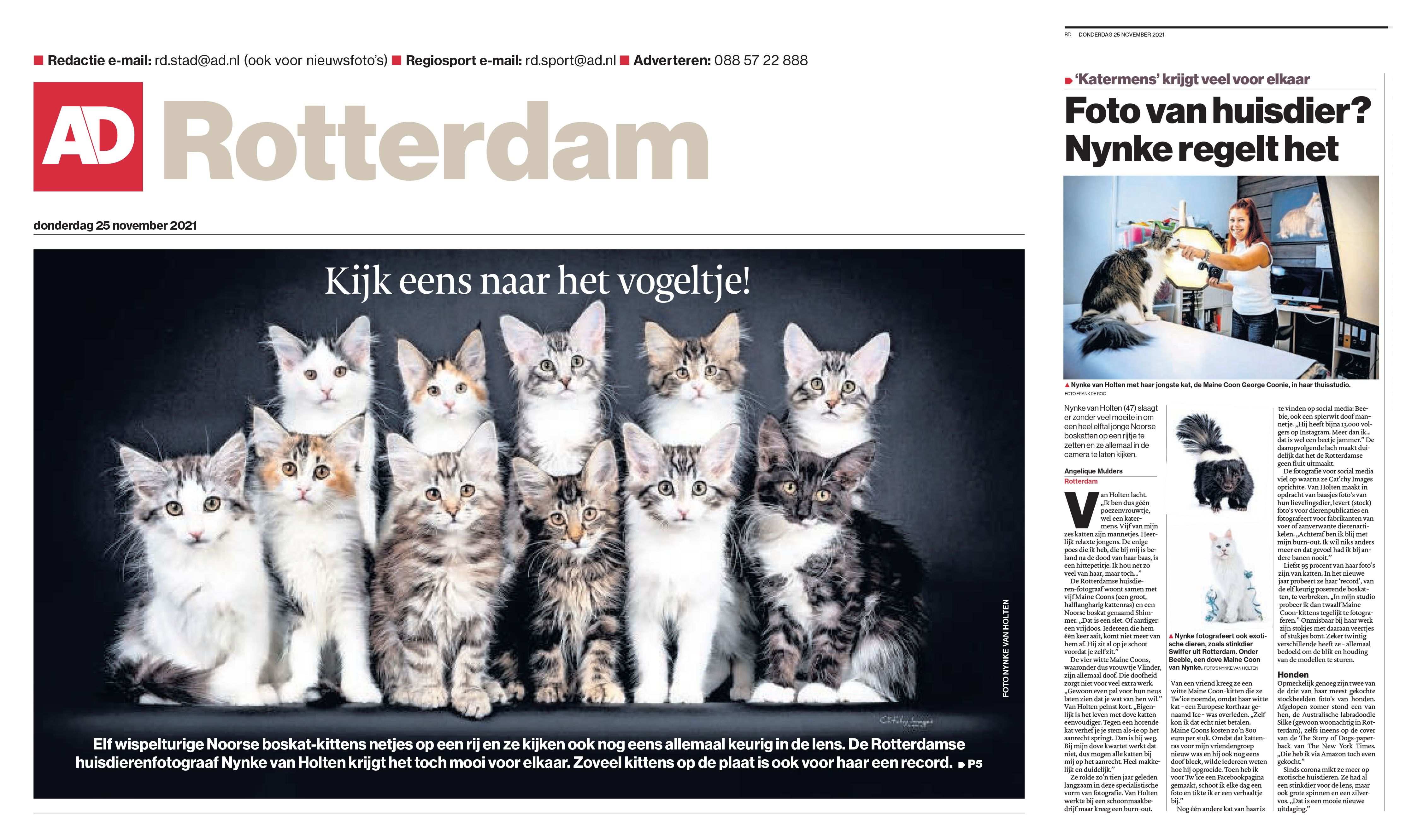 newspaper, news, krant, algemeen dagblad